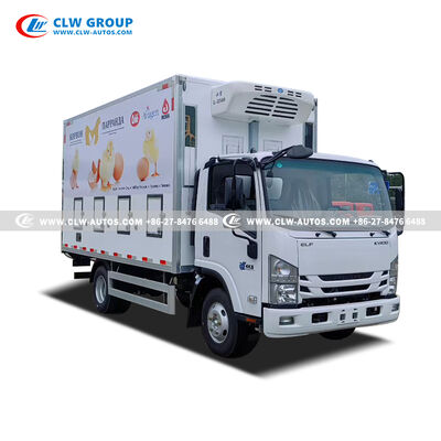 Isuzu KV100 4.2-Meter Insulated Chick Transport Truck with Precision Temperature Control and Hydraulic Tailgate